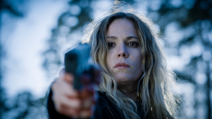 Στιγμιότυπο από την τηλεοπτική σειρά Deadwind του Netflix