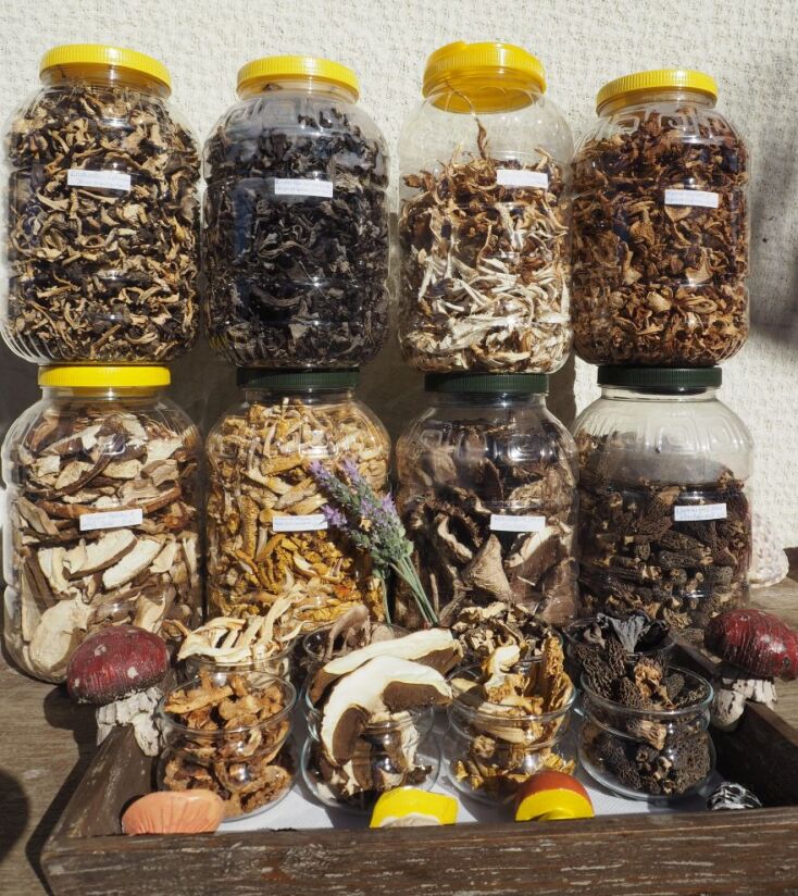 Αποξηραμένα μανιτάρια