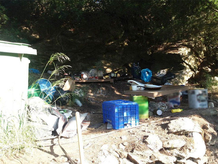 Φυτεία κάνναβης σε δύσβατη περιοχή των Κυθήρων