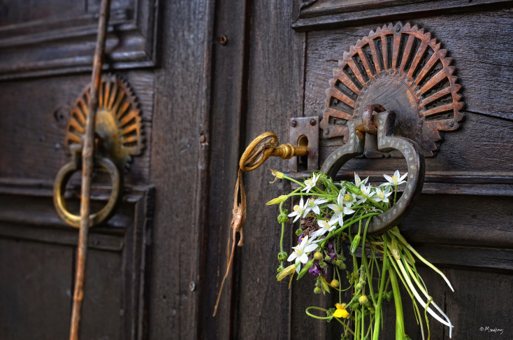 dilofo_zagori_door_flowers_sm.jpg