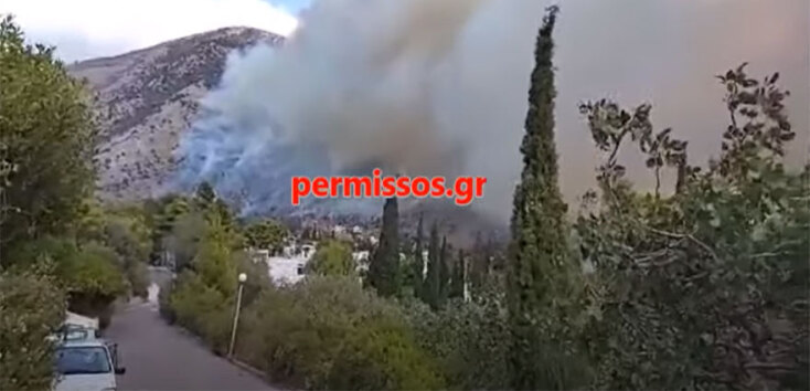 Η φωτιά στο Δίστομο, στην περιοχή Άσπρα Σπίτια