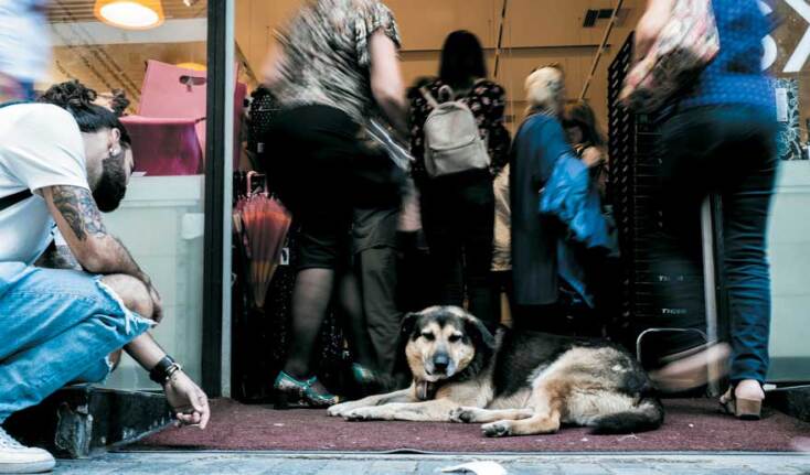 Πόλη dog friendly © Πέτρος Καλφαμανώλης