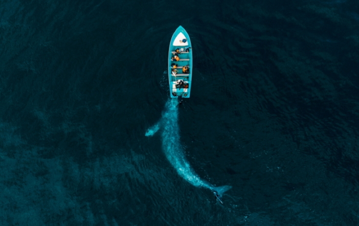 Drone Photo Awards 2020
