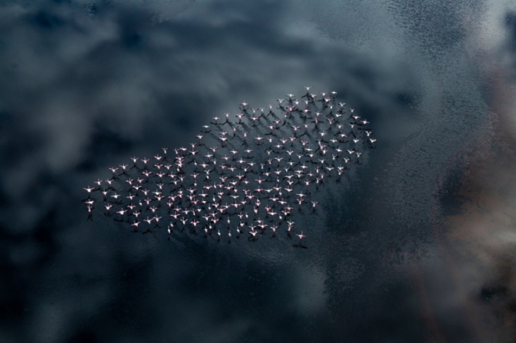 Drone Photo Awards 2020