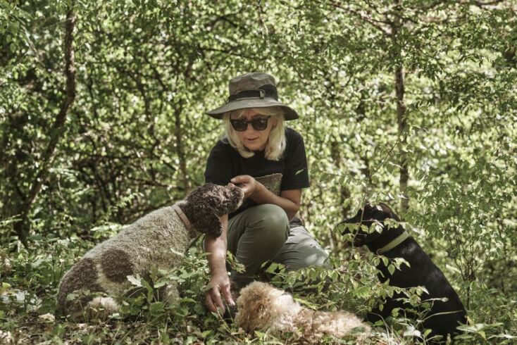 Κατερίνα Νόλα