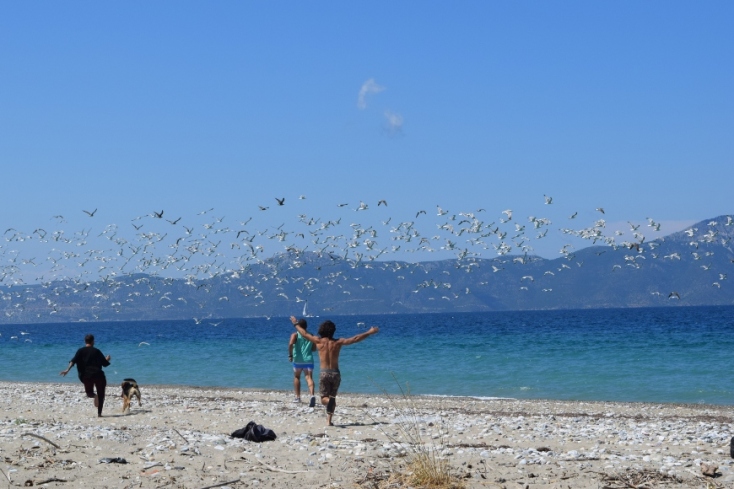 Η παρέα με τους καιτάδες