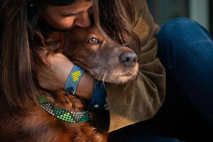 Zikos Pet Accessories