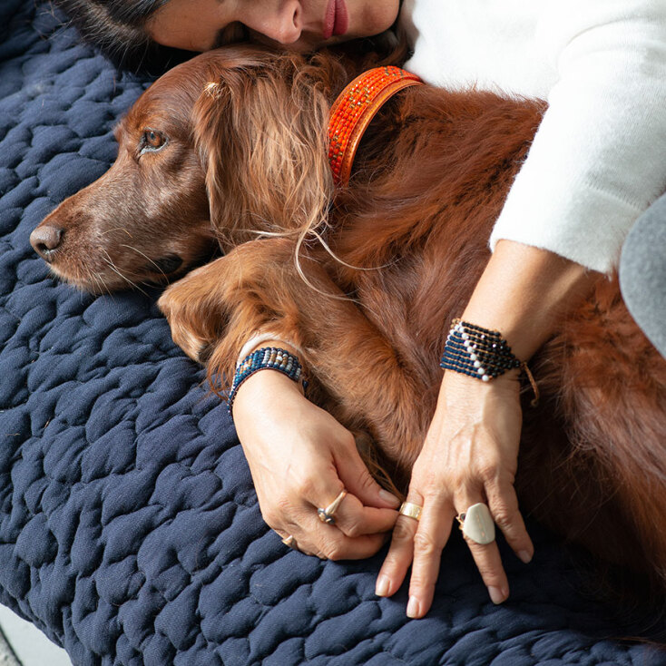 Zikos Pet Accessories