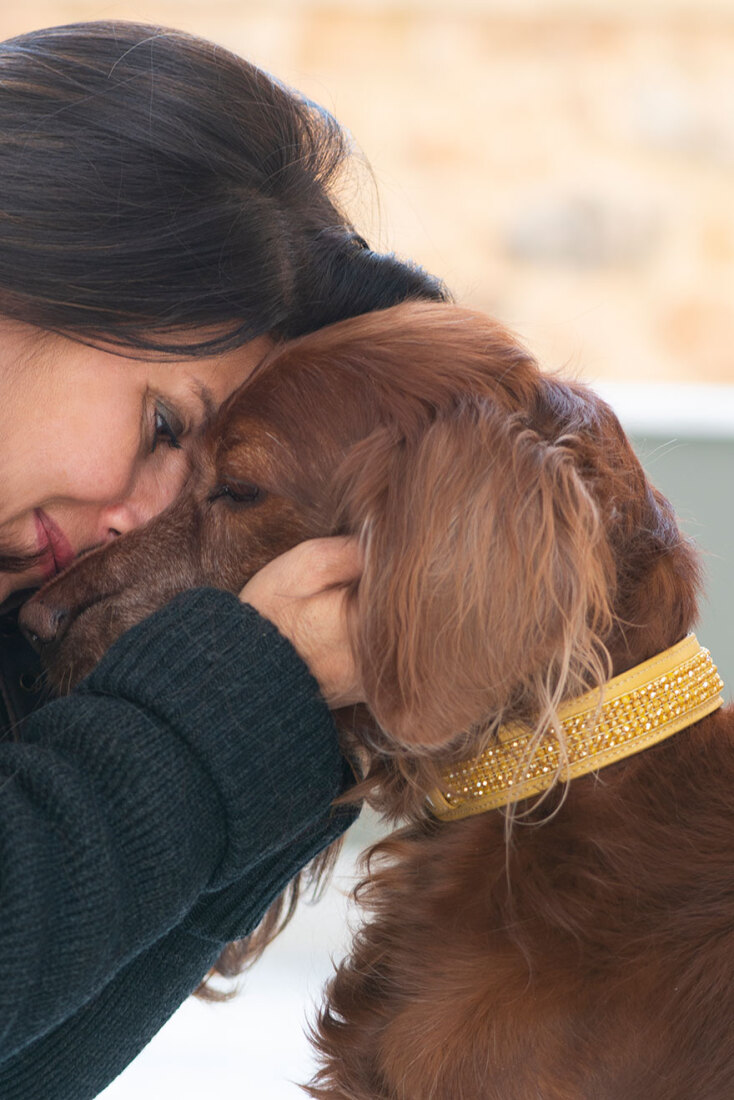 Zikos Pet Accessories