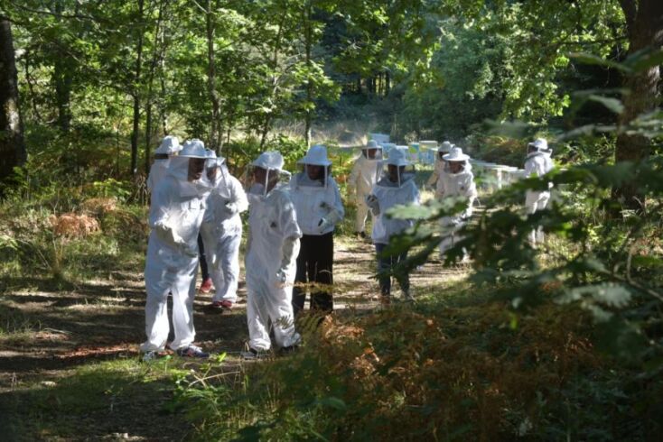 Η δραστηριότητα «Μελισσοκόμος για μια μέρα» που υλοποιείται από το Passion Honey 