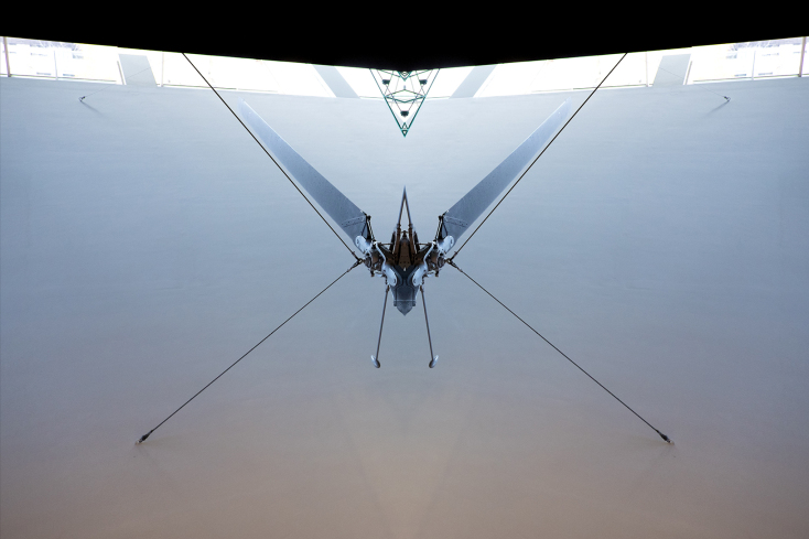 dscf2566-the_mosquito-artwork-new_york.jpg