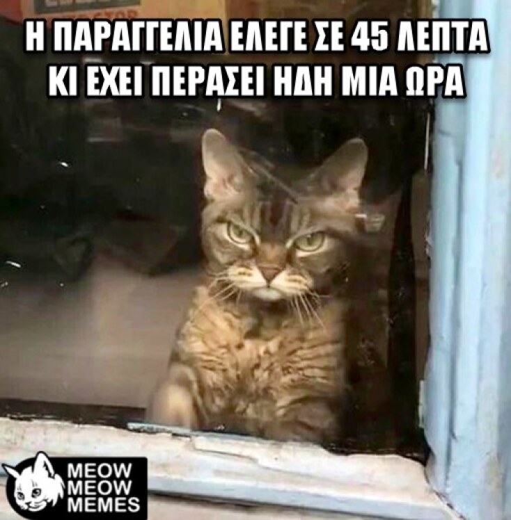 Αστεία memes, ατάκες, YOLO βίντεο, virals που ανέβηκαν στο διαδίκτυο και μας έκαναν να γελάσουμε