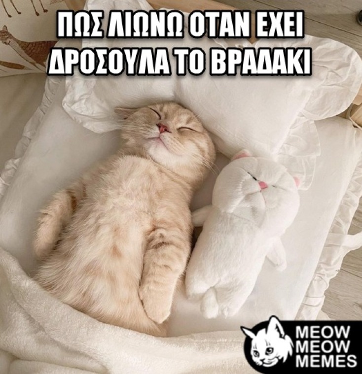 Αστεία memes, ατάκες, YOLO βίντεο, virals που ανέβηκαν στο διαδίκτυο και μας έκαναν να γελάσουμε