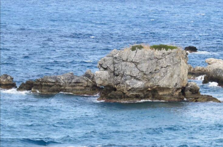 Συνσεισμική  ανύψωση  σε  σχηματισμούς  μαρμάρων  στην  περιοχή  δυτικά  του  λιμανιού Καρλοβασίου