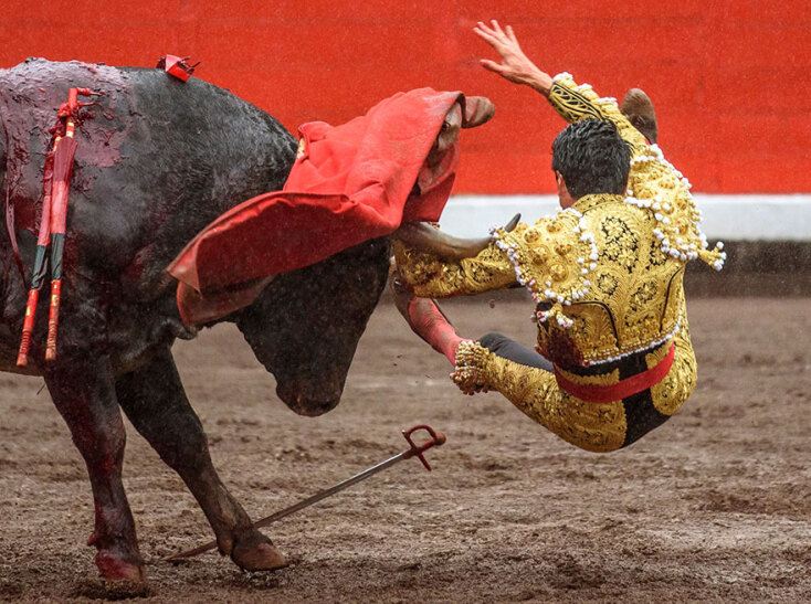 Ταυρομαχία, Ισπανία