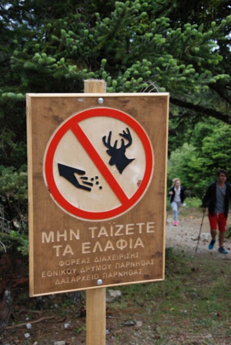Πινακίδα «Μην ταΐζετε τα ελάφια» στην Πάρνηθα