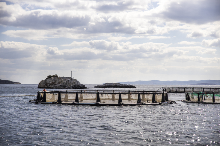Ιχθυοκαλλιέργεια ΕΛΟΠΥ
