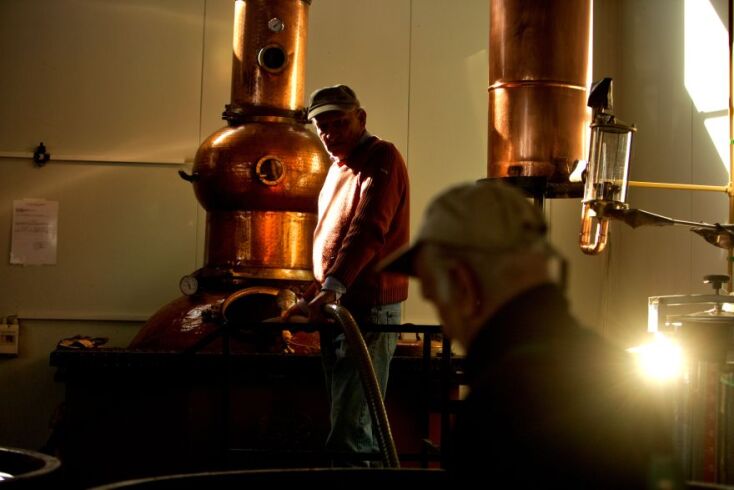 Μέσα στο αποστακτήριο όπου παράγεται το τσίπουρο «Έντεκα»