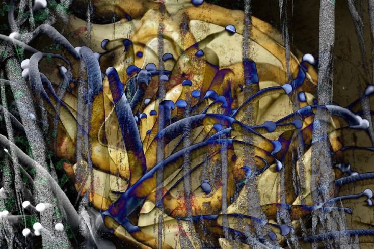 Έργο του Costas Picadas που συμπεριλαμβάνεται στην έκθεση «Finding the ties between science and nature».