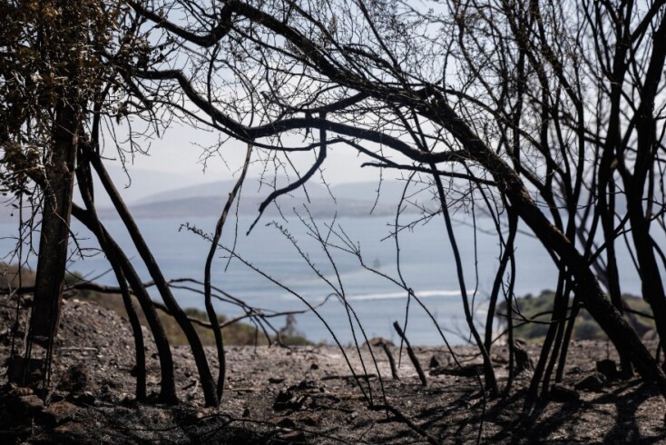 Οι πρώτες εικόνες από τη φωτιά στον Άγιο Στέφανο στον Ερημίτη Κέρκυρας