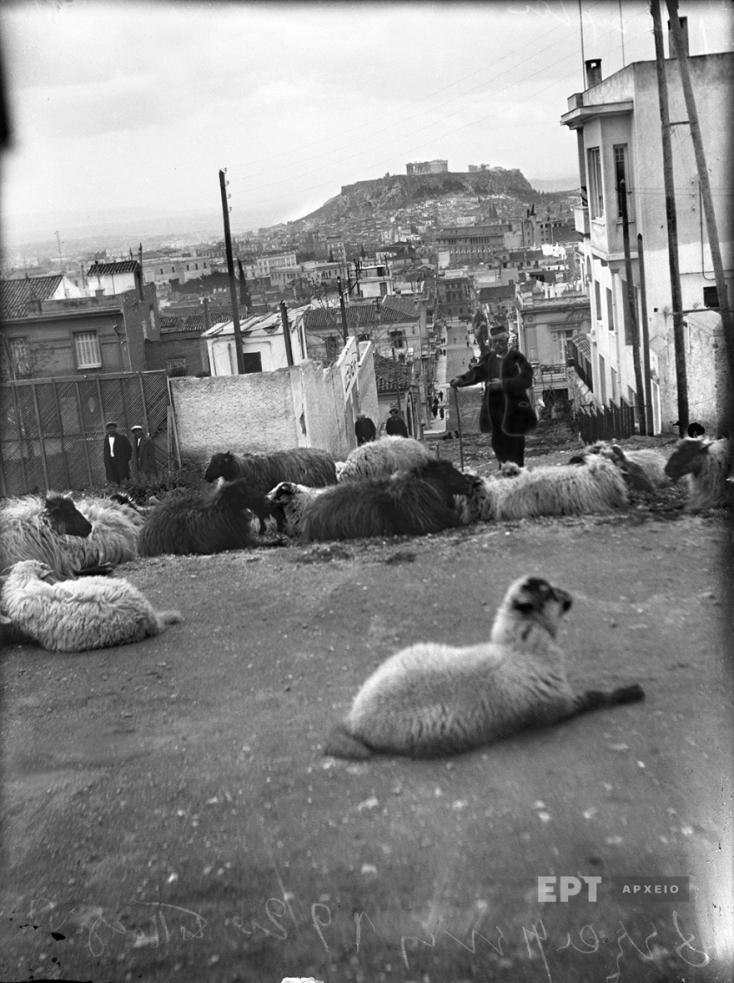 Πέτρος Πουλίδης - ΕΡΤ Αρχείο