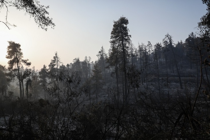 Φωτιές στην Εύβοια: Σε ύφεση τα πύρινα μέτωπα 