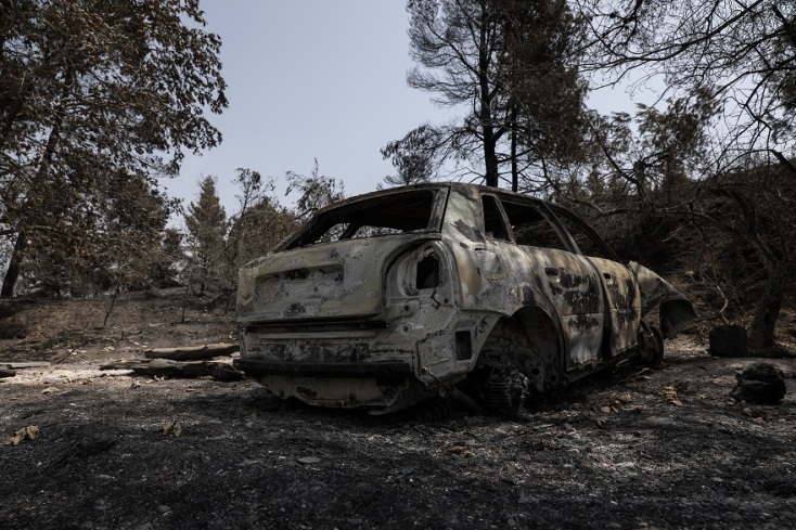 Καμένες εκτάσεις στη Βόρεια Εύβοια μετά τις φωτιές 