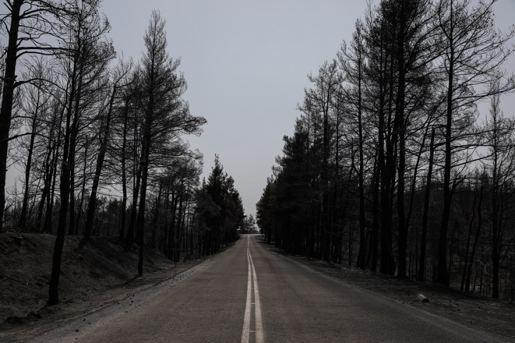 Καμένες εκτάσεις στη Βόρεια Εύβοια μετά τις φωτιές 