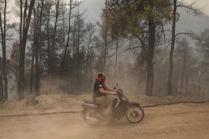Οδηγός στην Εύβοια διασχίζει δρόμο με καμένα δέντρα © EUROKINISSI