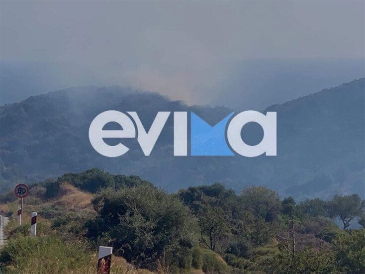 Η φωτιά στην περιοχή Πετριές στο νότιο τμήμα της Εύβοιας
