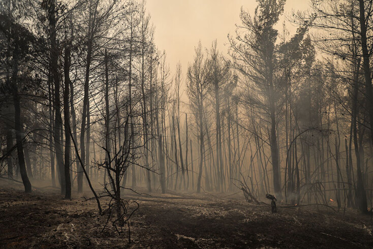 Στάχτη και αποκαΐδια στην Εύβοια μετά τις φωτιές - Ο Σταύρος Μπένος, που άλλαξε πολεοδομικά την Καλαμάτα μετά τους σεισμούς και ίδρυσε τα ΚΕΠ, αναλαμβάνει επικεφαλής στην ανασυγκρότηση