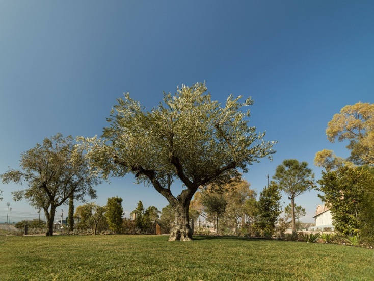 The Ellinikon Experience Park