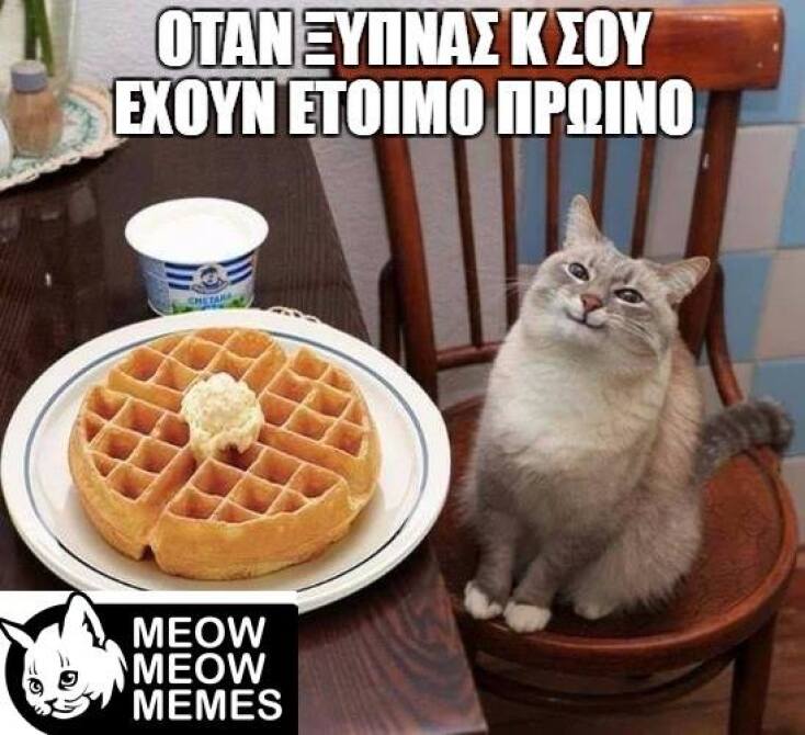 Τα yolo της Τετάρτης