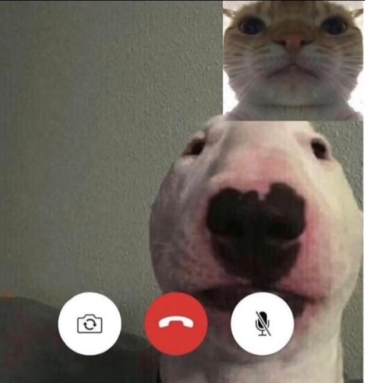 Το Facetime μάς πάει μπαρότσαρκα