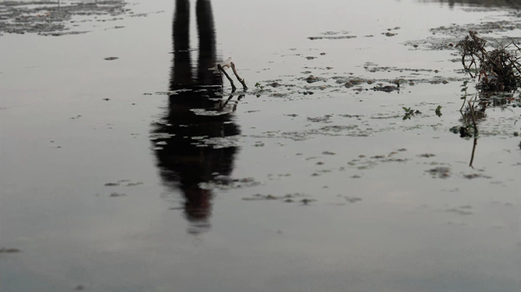 Η ταινία «Διόνυσος, η επιστροφή» του Σπύρου Τσιφτσή ακολουθεί το παγκόσμιο ταξίδι του Τερζόπουλου