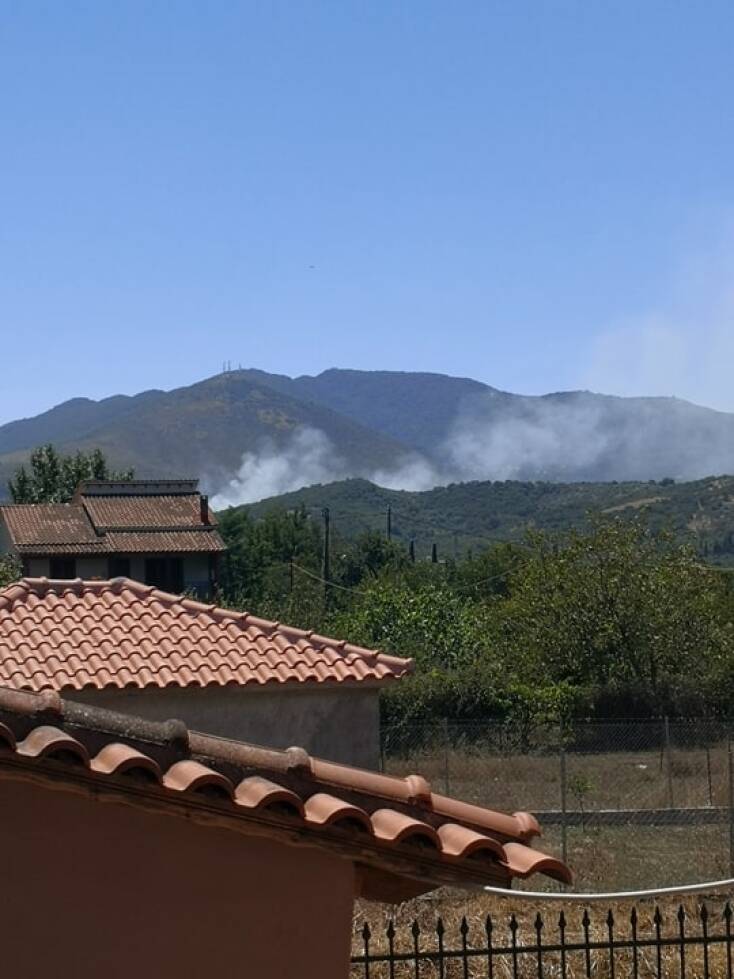Φωτιά στον Αετό Τριφυλίας στη Μεσσηνία