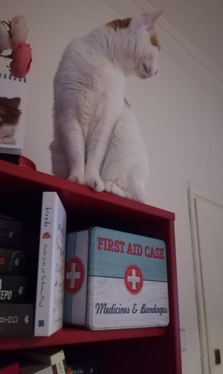 #menoumespiti με την Athens Voice: Η Rights Manager των εκδόσεων Διόπτρα, Γλυκερία Δημητροπούλου, περιγράφει μία μέρα στο σπίτι, εν μέσω πανδημίας κορωνοϊού