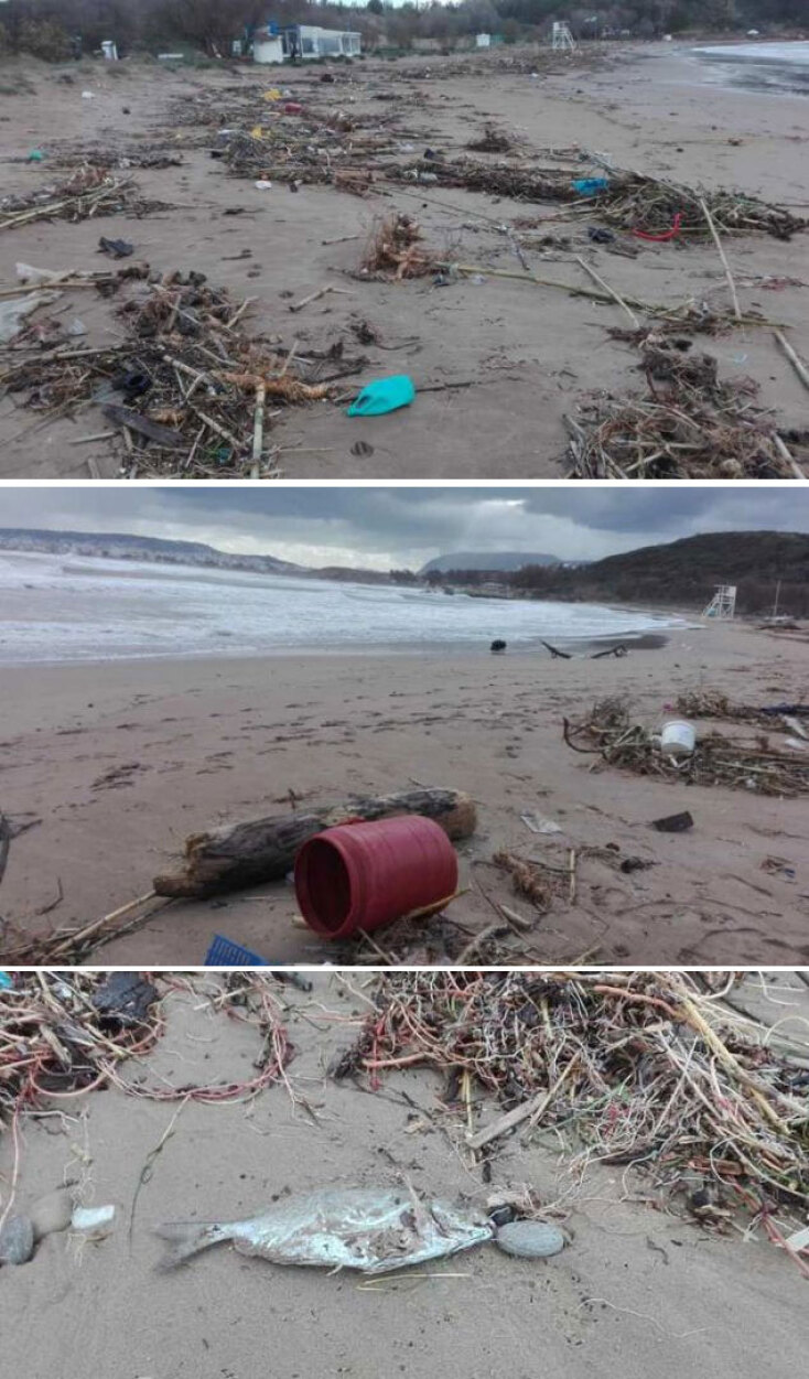 Κακοκαιρία στα Χανιά: Ψάρια βγήκαν στη στεριά