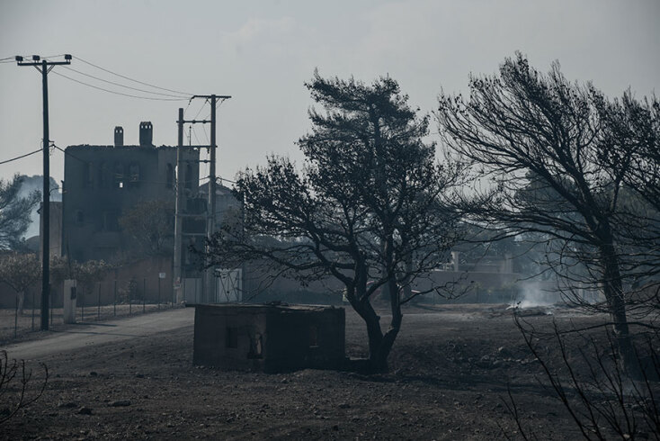 Καμένη γη στο Αλεποχώρι από τη φωτιά που ξεκίνησε στον Σχίνο Κορινθίας