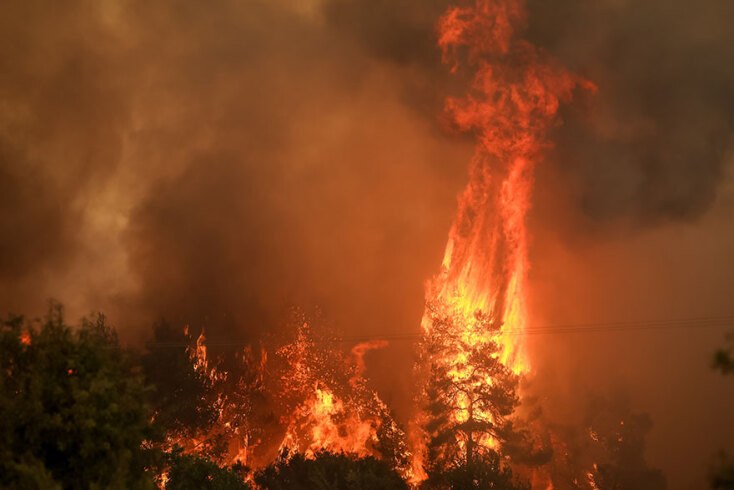 Στην Εύβοια η πυρκαγιά καίει τα πάντα στο πέρασμά της, με τις φλόγες να φθάνουν σε ύψος πολλών μέτρων