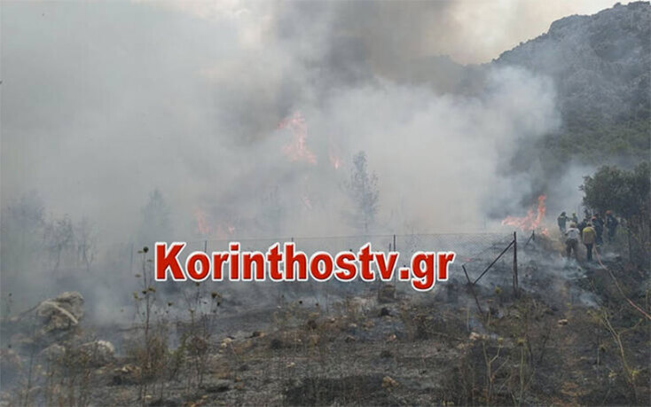 Δασική πυρκαγιά ξέσπασε στην Κορινθία - Μάχη με τις φλόγες δίνουν οι πυροσβέστες στο Ελληνοχώρι