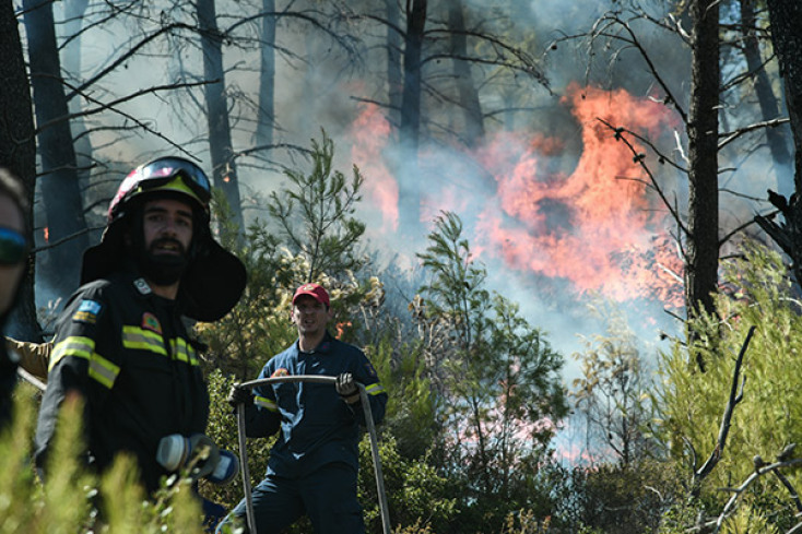 ΠΥΡΚΑΓΙΑ ΣΤΗ ΝΕΑ ΜΑΚΡΗ
