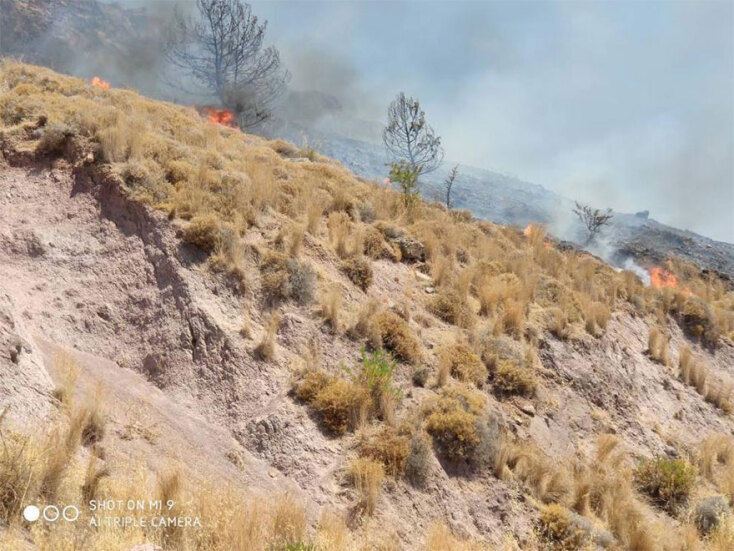Φωτιά στη Μυτιλήνη - Καίει χαμηλή βλάστηση μεταξύ Πέτρας και Μολύβου - Απείλησε τουριστικά καταλύματα
