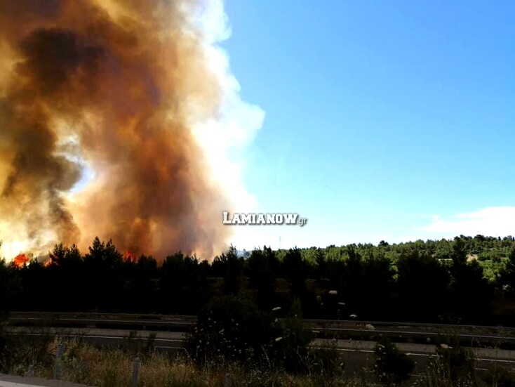 Φωτιά δίπλα στην Εθνική Οδό Αθηνών - Λαμίας στο ύψος του Μαρτίνου