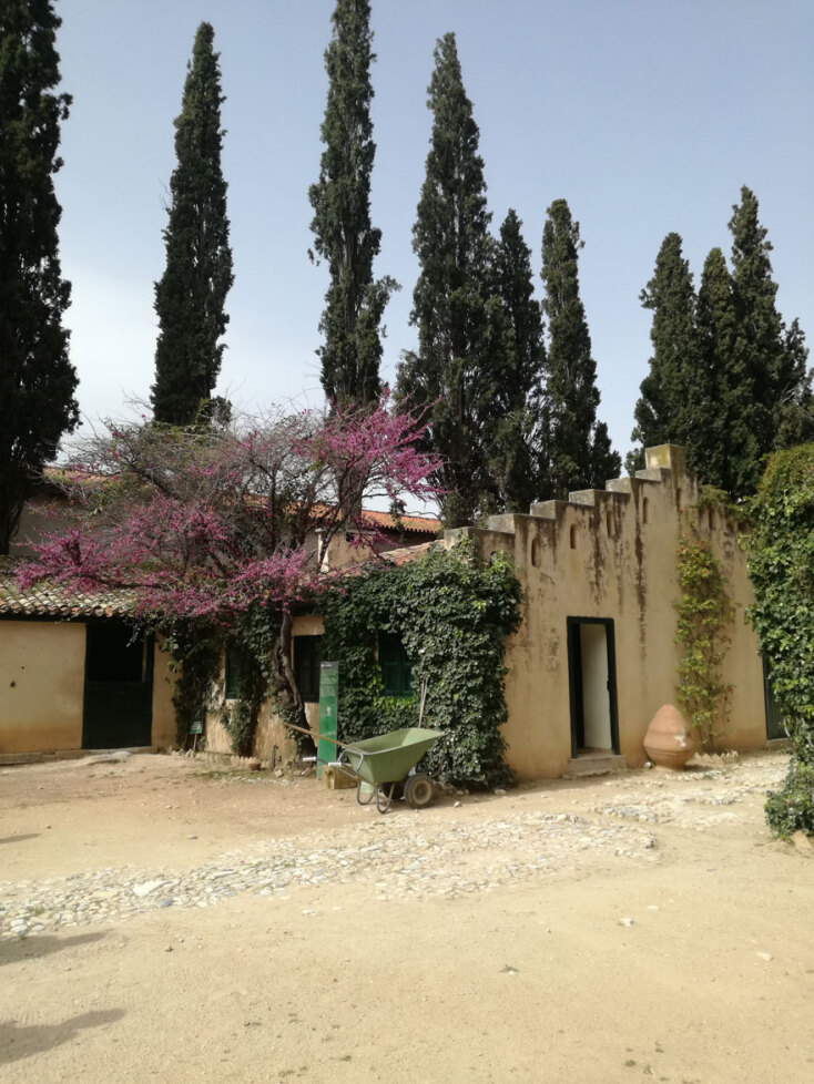 Πύργος της Βασιλίσσης