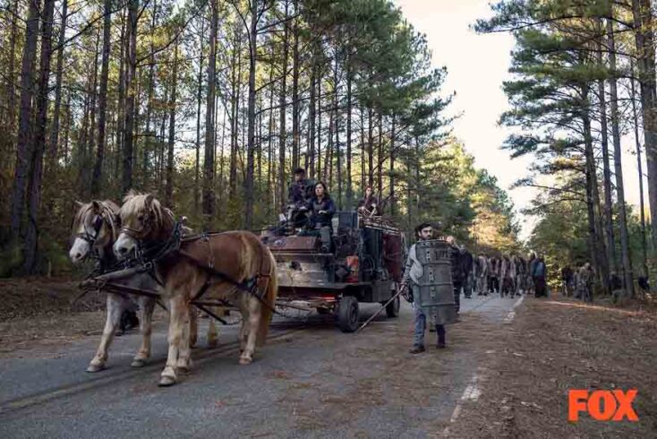 "The Walking Dead" © AMC