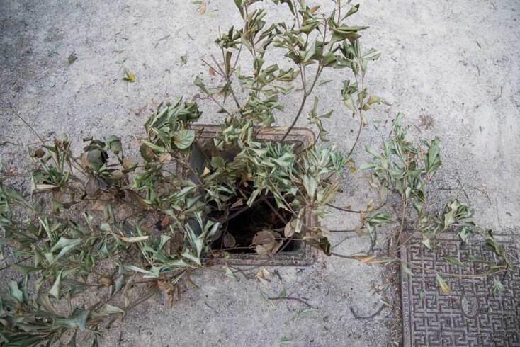 Φρεάτια © Θανάσης Καρατζάς