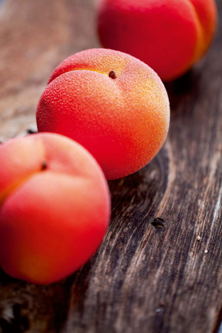 fruits_noyau_nectarine_02.jpg