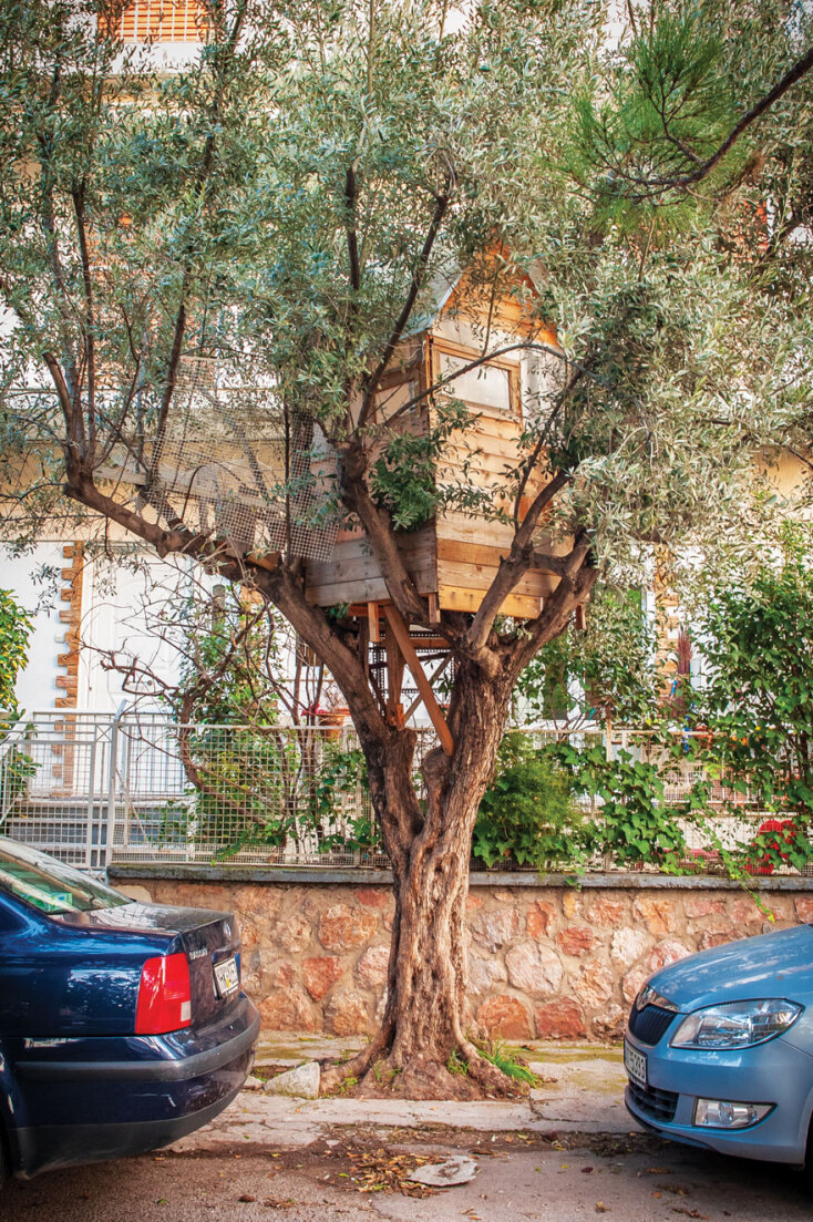 © Θανάσης Καρατζάς