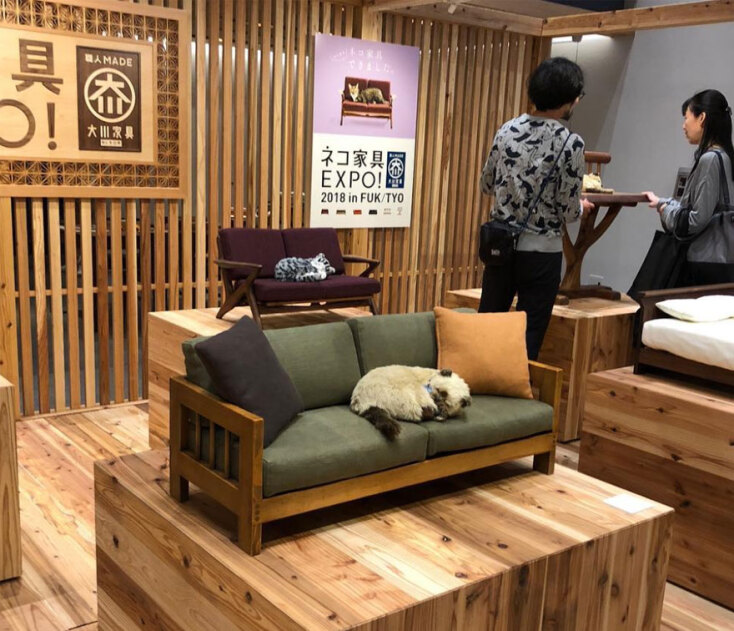 Έπιπλα - μινιατούρες για γάτες